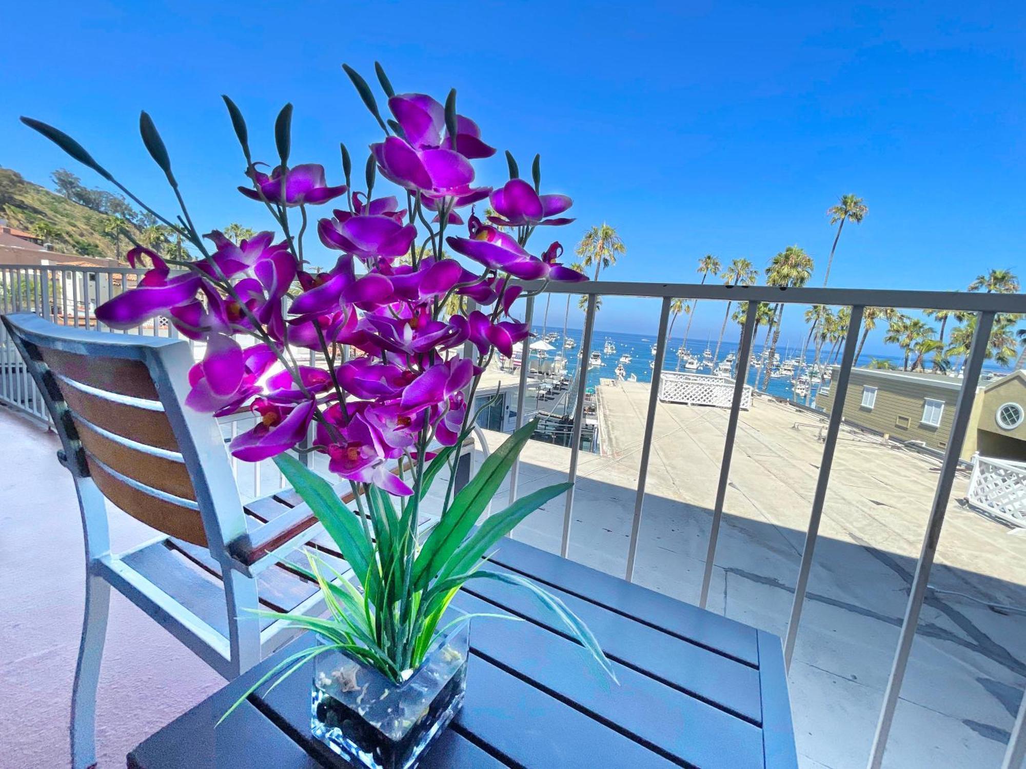 Catalina Courtyard Suites 阿瓦隆 外观 照片