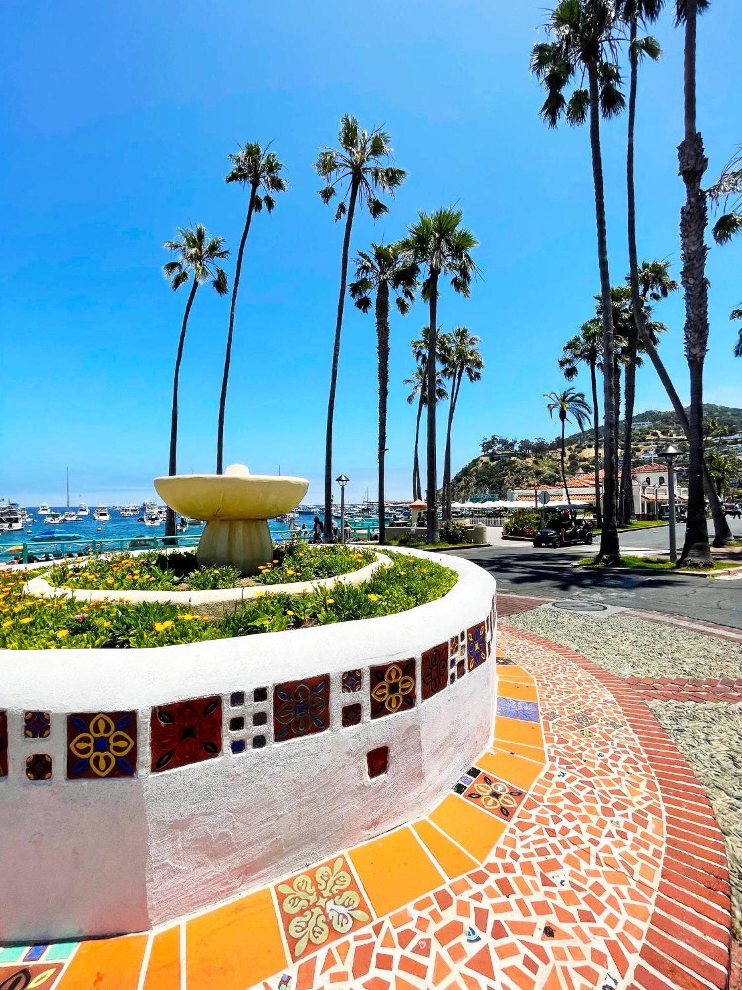 Catalina Courtyard Suites 阿瓦隆 外观 照片